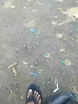 Playboy bhabhi 00 online show from February 20, 2025, 10:27 am