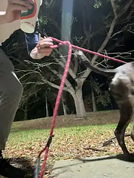 Snapshot of sexyhotstud12 chatting on February 18, 2025, 4:26 am sexyhotstud12 online show from February 18, 2025, 4:26 am