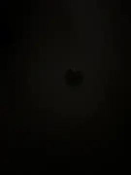 Snapshot of Boneca25 chatting on February 5, 2026, 8:30 am Boneca25 online show from February 5, 2026, 8:30 am