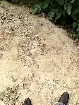 xmanrawan2 online show from January 30, 2025, 10:50 am