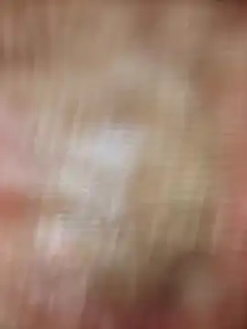 xmanrawan2 online show from February 20, 2025, 8:39 am