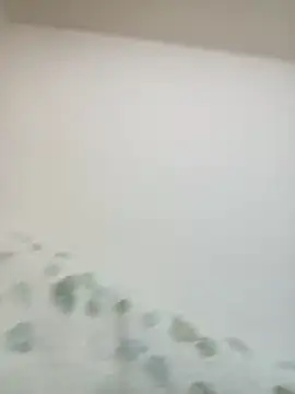 Snapshot of 1997YuMa chatting on March 20, 2025, 10:51 pm 1997YuMa online show from March 20, 2025, 10:51 pm