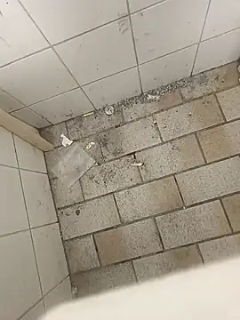 Snapshot of wadmma chatting on November 19, 2025, 8:47 am wadmma online show from November 19, 2025, 8:47 am