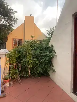 ZinaFreak online show from February 4, 2025, 4:29 pm