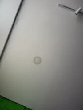 Dulce  Boyd online show from April 8, 2026, 2:17 pm