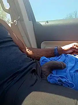 birdg online show from April 16, 2026, 4:30 pm