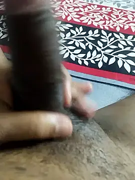 desi pb02 online show from February 24, 2026, 3:32 pm