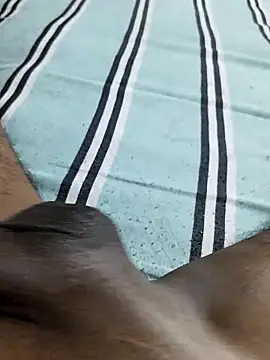 desi pb02 online show from March 17, 2026, 2:20 pm