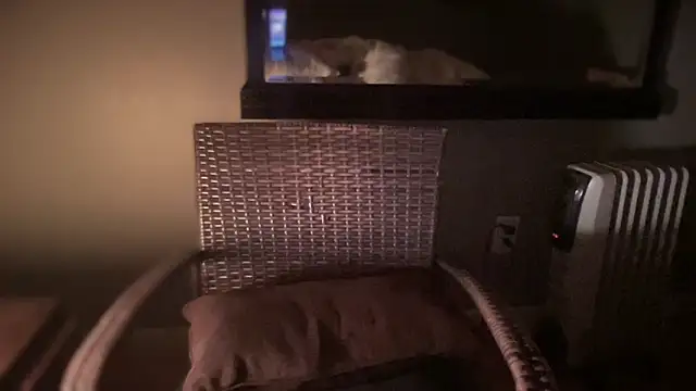 DominantDong online show from February 28, 2025, 11:25 am