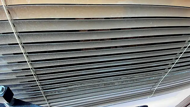 SaraClub JY online show from October 21, 2025, 10:43 pm