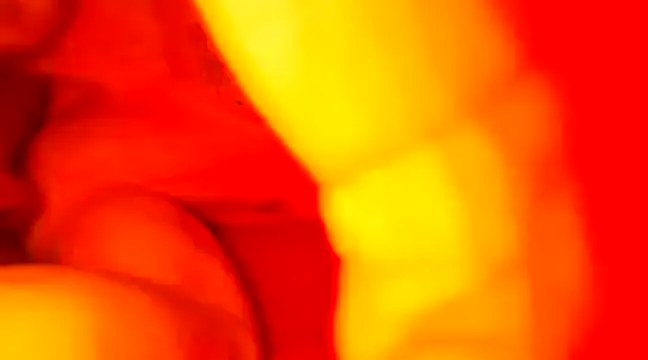 JCstrings online show from February 21, 2025, 7:43 pm