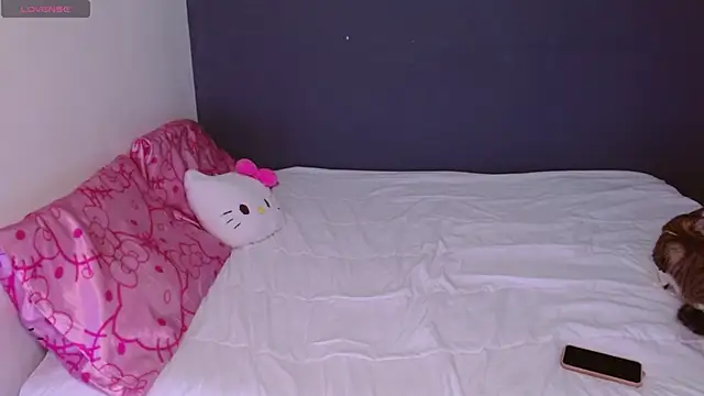 Snapshot of hellokitty__valery chatting on October 26, 2025, 3:45 am hellokitty valery online show from October 26, 2025, 3:45 am