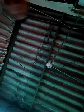 frankli2681 online show from February 13, 2026, 5:47 am