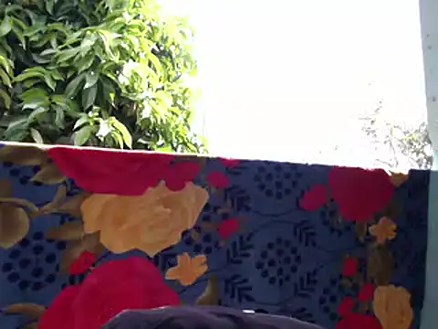 Ladyzee25 online show from February 6, 2026, 3:04 pm