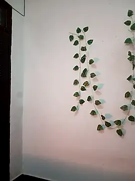 Neha-Bhabhi-Rasily online show from February 20, 2026, 11:11 am