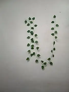 Neha-Bhabhi-Rasily online show from March 6, 2026, 4:42 am