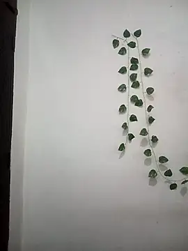 Neha-Bhabhi-Rasily online show from March 25, 2026, 5:24 am