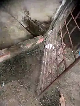 viviksmel online show from April 19, 2026, 6:10 pm