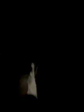 Snapshot of Dasul_ chatting on October 11, 2025, 7:07 am Dasul online show from October 11, 2025, 7:07 am