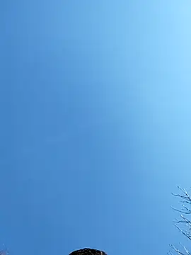 Anthopassif84 online show from March 17, 2025, 3:18 pm