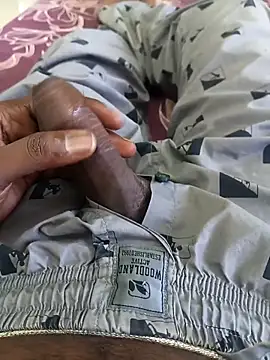 Tn localboy69 online show from September 29, 2025, 2:16 am