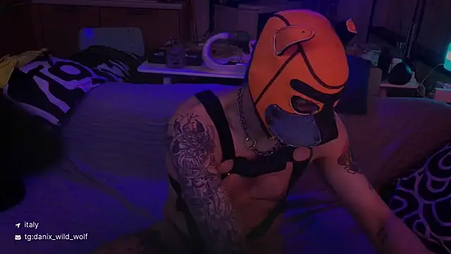 Snapshot of danix_wild_wolf chatting on March 15, 2026, 10:49 pm danix wild wolf online show from March 15, 2026, 10:49 pm