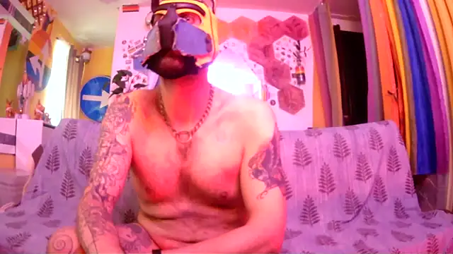 danix wild wolf online show from May 11, 2026, 10:54 am