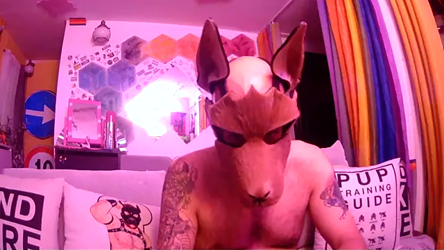 danix wild wolf online show from May 31, 2026, 11:06 pm