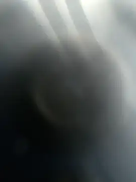 Snapshot of Gotabodiee chatting on November 13, 2025, 12:59 pm Gotabodiee online show from November 13, 2025, 12:59 pm