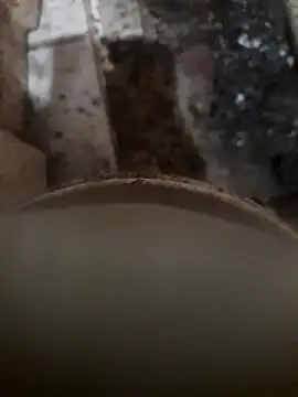 Snapshot of Agusdsm chatting on April 15, 2026, 9:05 am Agusdsm online show from April 15, 2026, 9:05 am