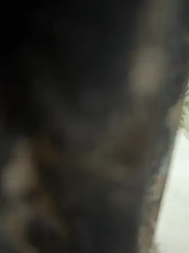 Snapshot of dilu98 chatting on February 21, 2026, 2:01 am dilu98 online show from February 21, 2026, 2:01 am