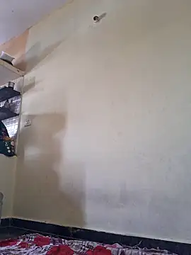 nipu 9 online show from March 29, 2026, 8:03 am