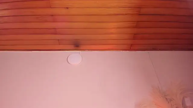 viol collins   online show from March 22, 2025, 12:14 pm