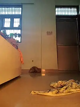 Desi Bhabi 01 online show from February 1, 2026, 9:52 am