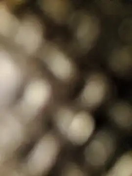 Snapshot of geilerschwanz556r7 chatting on September 30, 2025, 8:52 am geilerschwanz556r7 online show from September 30, 2025, 8:52 am