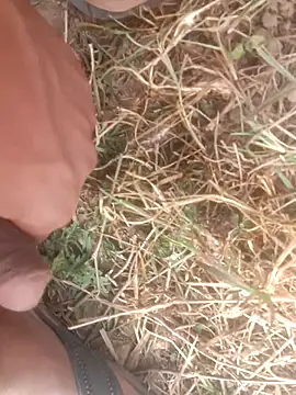 Snapshot of perplexedsoul chatting on December 1, 2025, 9:14 am perplexedsoul online show from December 1, 2025, 9:14 am