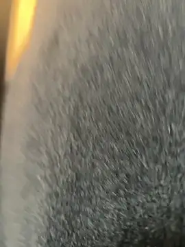 xiaoyuan01 online show from March 9, 2026, 2:04 am