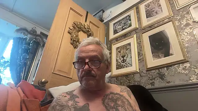 poggles online show from July 22, 2026, 5:21 am