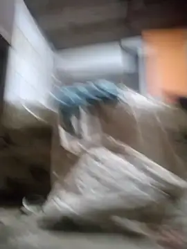 srtsara online show from December 14, 2025, 12:16 am