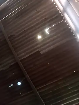 Snapshot of srtsara chatting on February 20, 2026, 8:42 pm srtsara online show from February 20, 2026, 8:42 pm