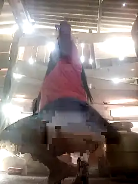 Snapshot of srtsara chatting on April 2, 2026, 10:46 am srtsara online show from April 2, 2026, 10:46 am