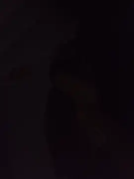 Sexxoophone online show from July 3, 2026, 3:35 am