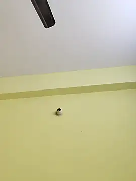 radhika2 online show from November 17, 2025, 8:03 pm