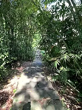 Snapshot of zack23088 chatting on October 18, 2025, 2:03 am zack23088 online show from October 18, 2025, 2:03 am