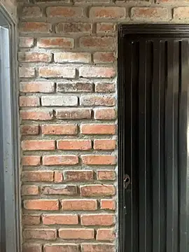 Jacksonfranco online show from November 19, 2025, 2:28 pm