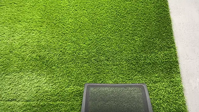 AshlyJoy online show from November 8, 2025, 7:19 am