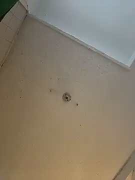 cam11 07 online show from April 8, 2026, 9:37 pm