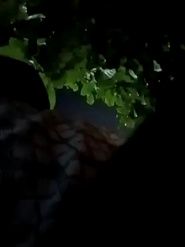 Snapshot of Rajopensex_955 chatting on March 21, 2026, 6:22 pm Rajopensex 955 online show from March 21, 2026, 6:22 pm