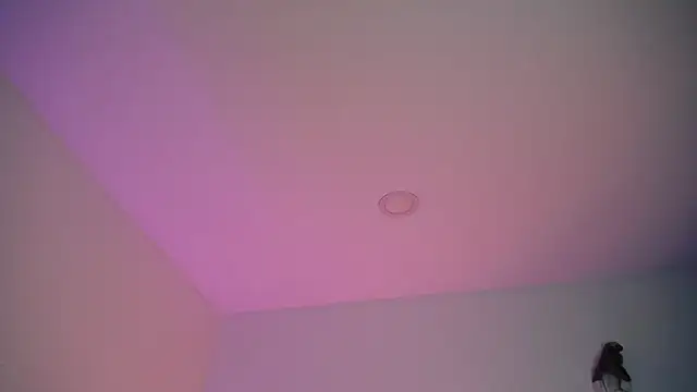 Stepha babe online show from September 8, 2025, 10:53 pm