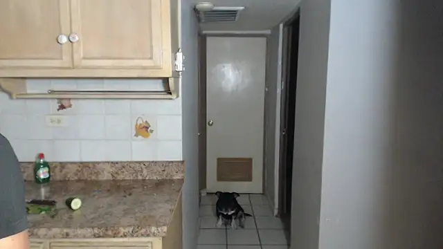 Snapshot of BlondZilla chatting on November 17, 2025, 12:49 am BlondZilla online show from November 17, 2025, 12:49 am